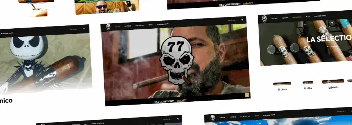 Enhanced digital visibility and online presence for Skull 77 – EIGHT Digital